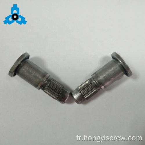 Carbone en acier plat rivet noix OEM